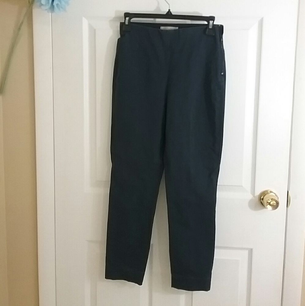 Everlane Women's Side-Zip Work Navy Pant Sz 2